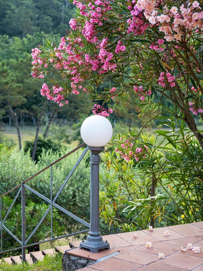 Residence Al Foionco ลุคคา ภายนอก รูปภาพ